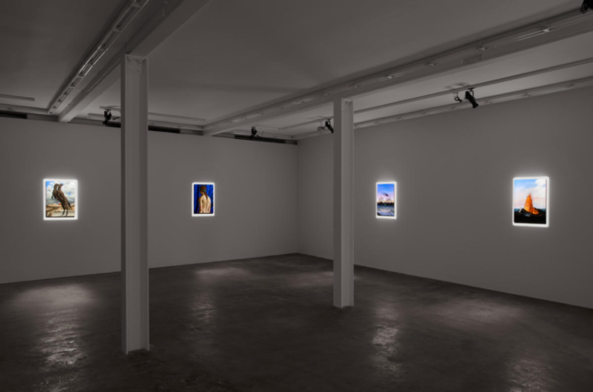 Ryan Driscoll, Holst